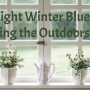 Blog Title Fight Winter Blues Bring Outdoor In