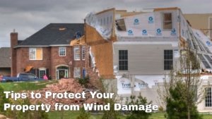 Tips to Protect Your Property from Wind Damage 