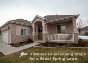 Winter Landscaping Steps for a Great Spring Lawn